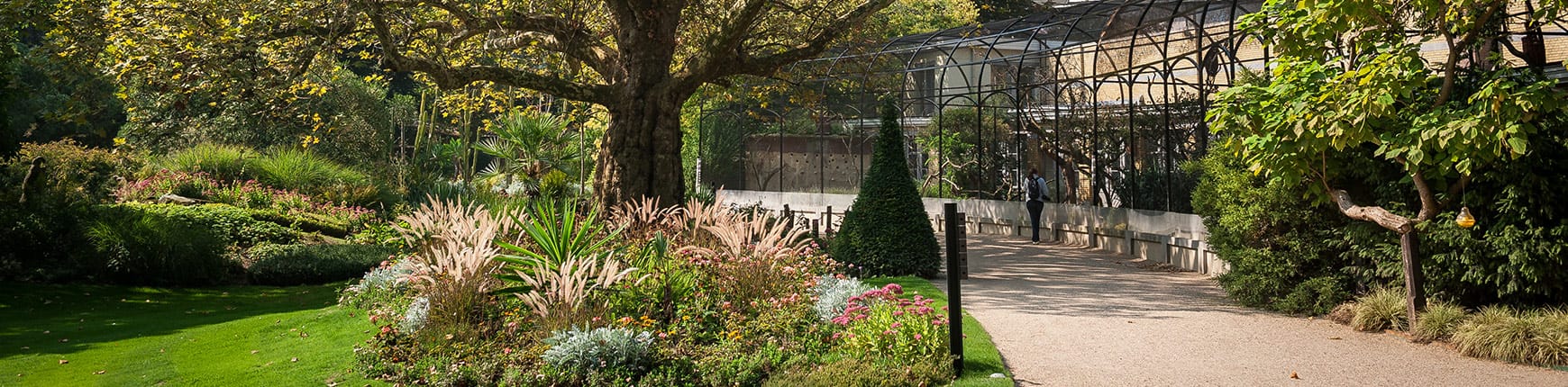 Privacy & Cookiepolicy